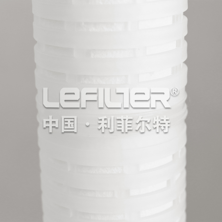 Pleated Cartridge Filter (3)