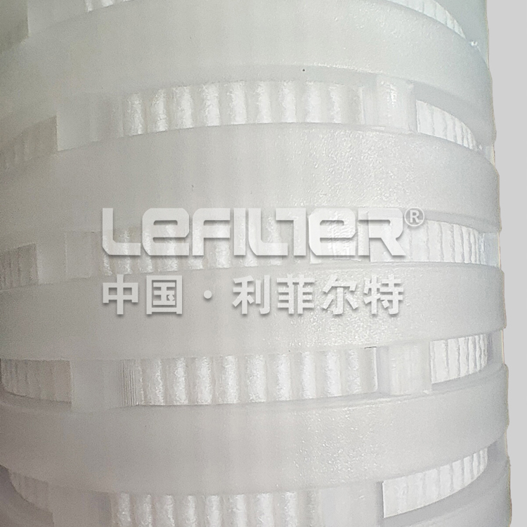 Pleated Cartridge Filter (4)